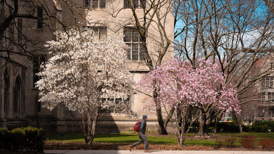 Photo by Jason Smith Spring flowers on campus