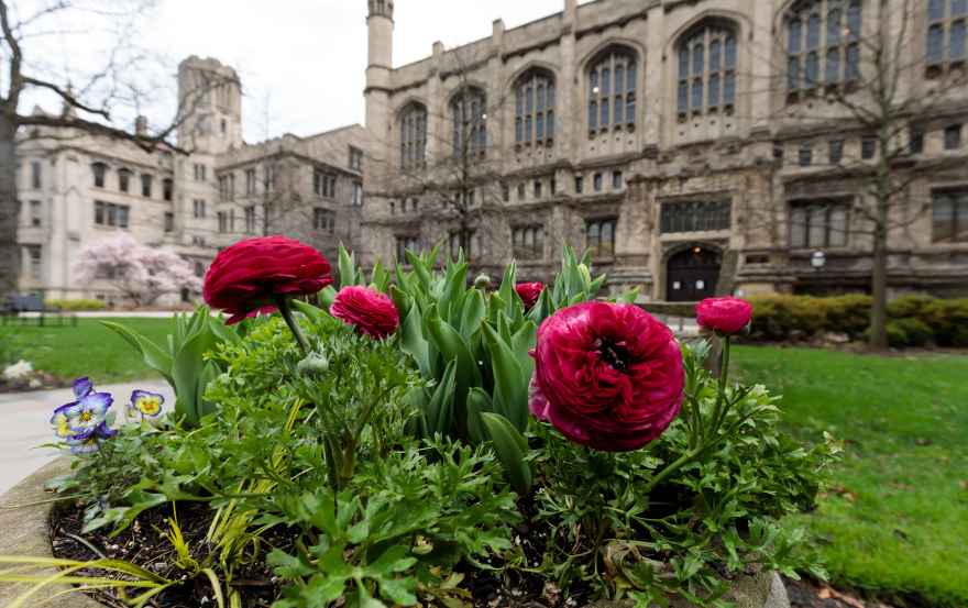 Springtime on the UChicago Hyde Park campus Springtime on the UChicago Hyde Park campus