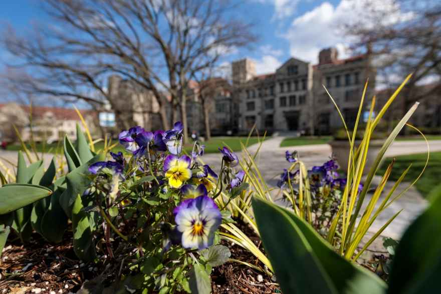 UChicago Quadrangle in Spring