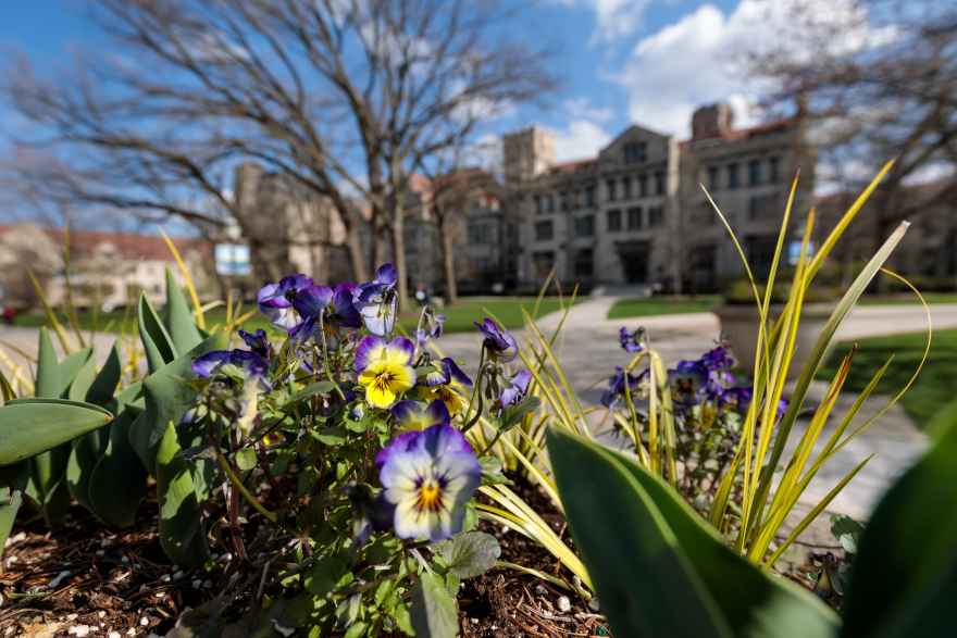 Spring on the UChicago Hyde Park campus