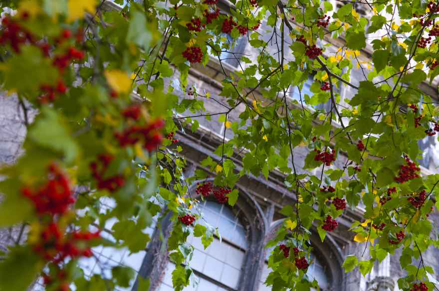 UChicago campus, photo by Peter Kiar