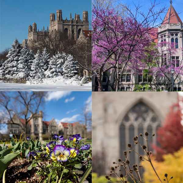 UChicago Seasons UChicago Seasons