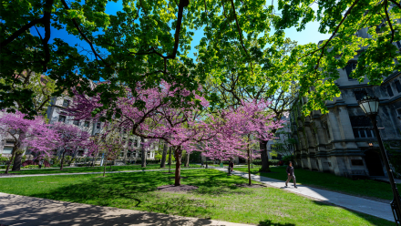 UChicago Campus